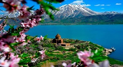 صفحه نخست