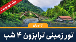 صفحه نخست