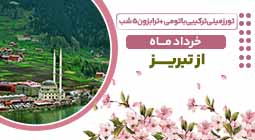صفحه نخست